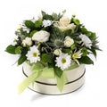 Pure Hat Box