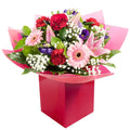 Star Bright Hand-Tied