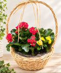 Colourful Flower Basket – A Beautiful Gift