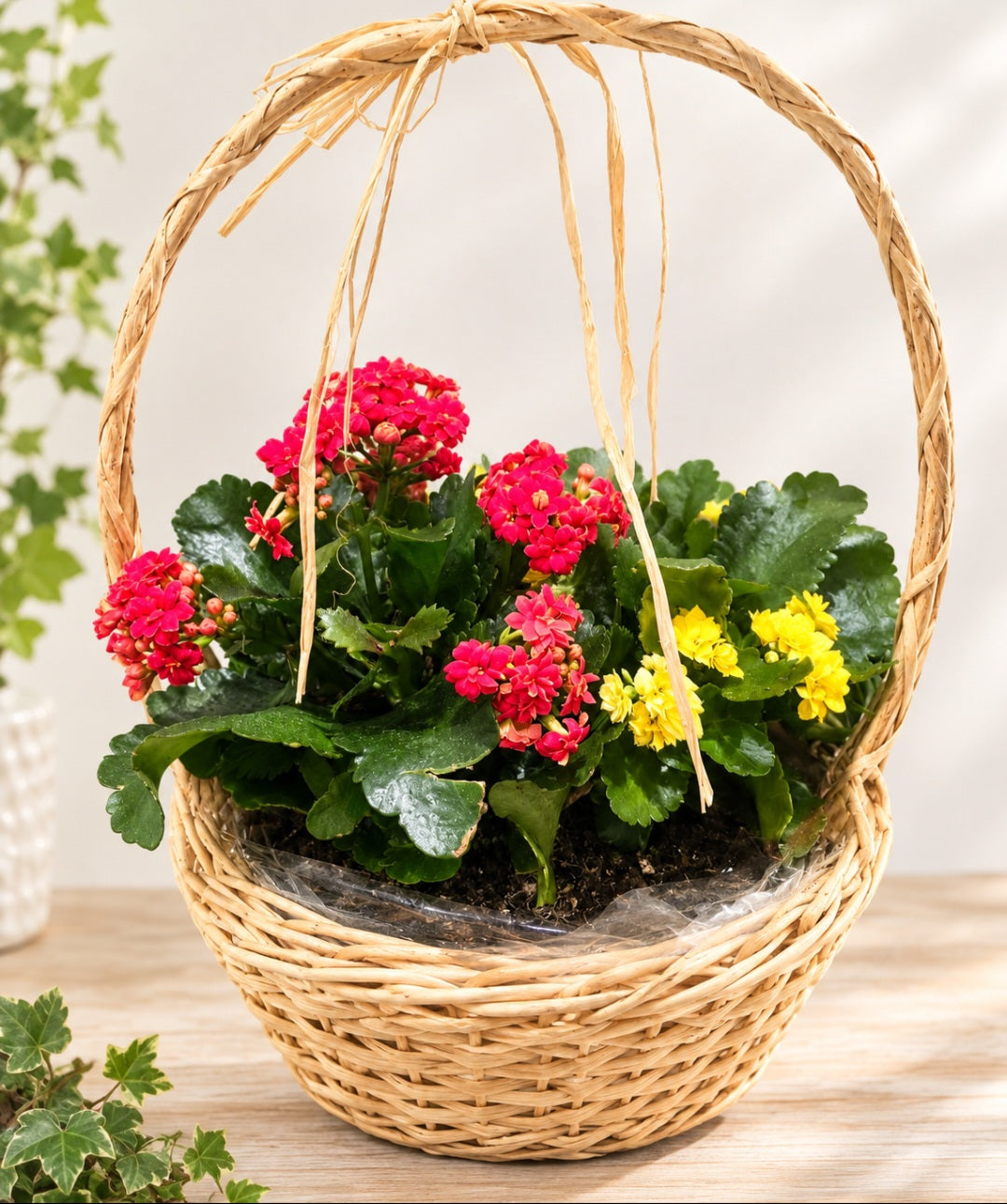 Colourful Flower Basket – A Beautiful Gift