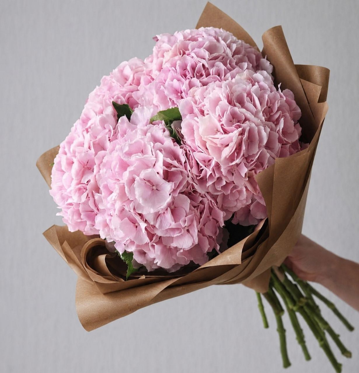 Soft Pink Hydrangea Bouquet