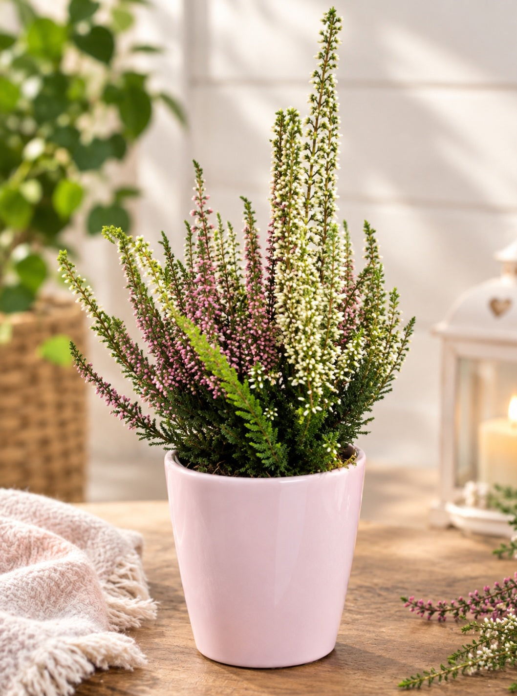 🌿 Elegant Heather – A Touch of Autumn Charm